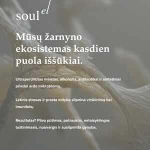 EKO Biota, 200g - Soulelhealth