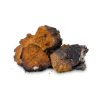 chaga