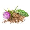 milk thistle